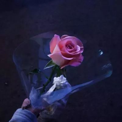 迪士尼pop手游下载